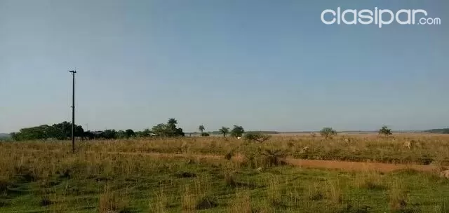 VENDO OCHO HECTÁREAS EN SAN JOSE DE LOS ARROYOS COD 2832 — foto 2