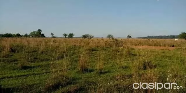 VENDO OCHO HECTÁREAS EN SAN JOSE DE LOS ARROYOS COD 2832 — foto 3