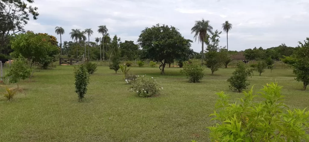 VENDO 6 TERRENOS JUNTOS EN VILLETA!! IDEAL PARA TODO TIPO DE EMPRENDIMIENTOS!! — foto 3