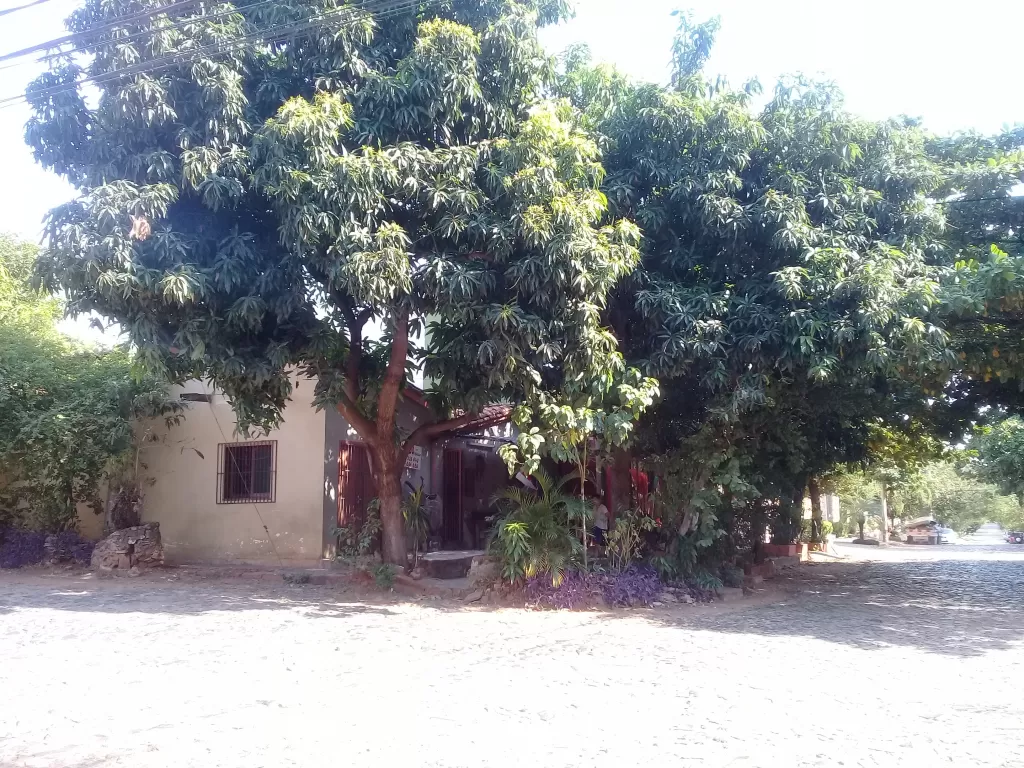 Casa en barrio Villa Aurelia - Asuncion — foto 2