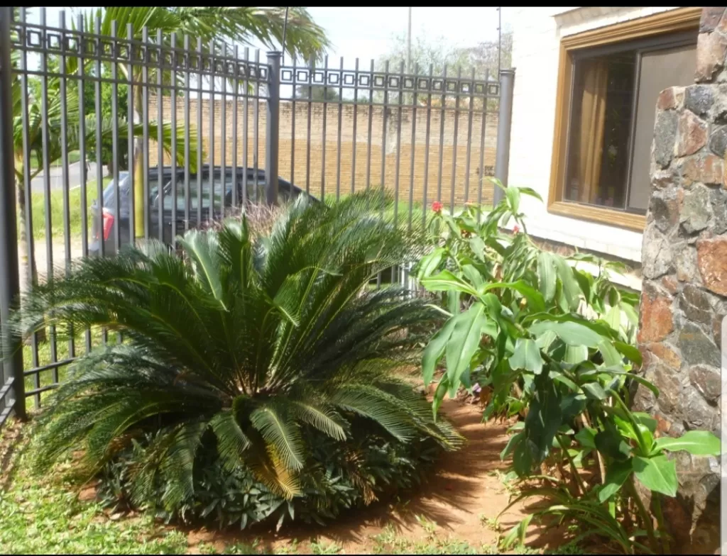 YCUA SATI, GOETHE: REMATO! - ELEGANTE RESIDENCIA - BAJÓ A 300.000 USD!! — foto 2