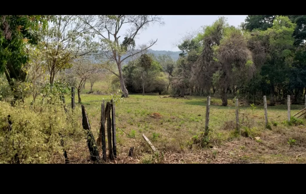 VENDO TERRENO EN ITACURUBI DE LA CORDILLERA — foto 2