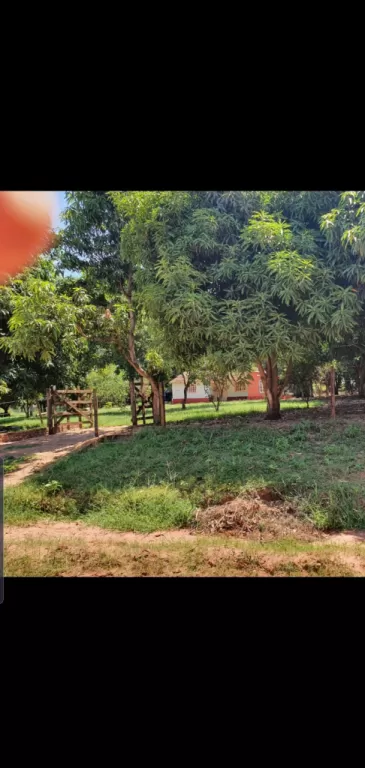 HERMOSA PROPIEDAD DE 7 HECTAREAS EN SANTANI — foto 2