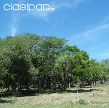 TERRENO EN AREGUA BARRIO CERRADO ECOS DEL LAGO — foto 2