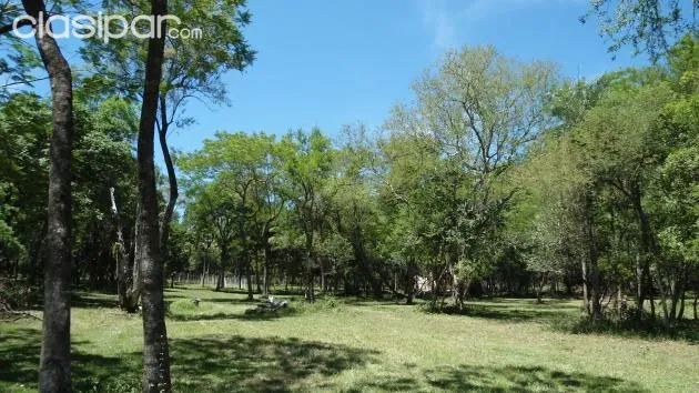 TERRENO EN AREGUA BARRIO CERRADO ECOS DEL LAGO — foto 3