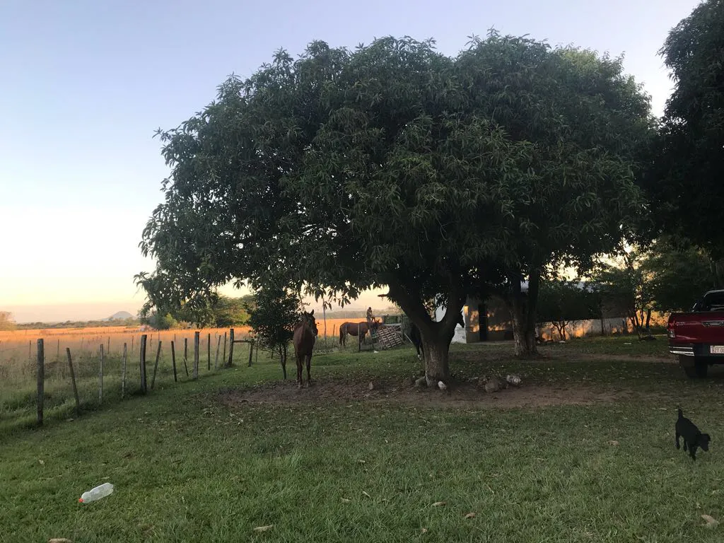 campo de dos hectáreas con casa y galpón par — foto 2