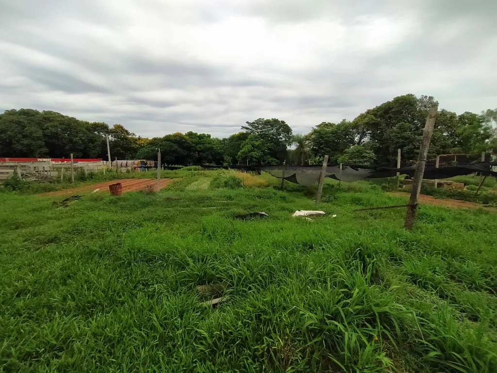 VENDO TERRENO EXCLUSIVO PARA DESARROLLOS — foto 3