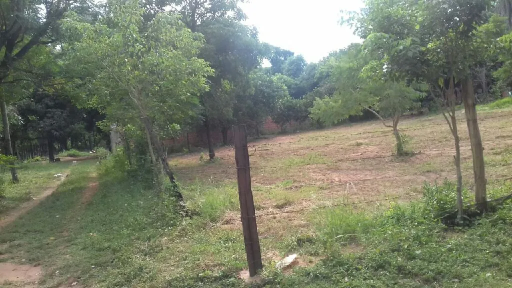 Vendo dos terrenos juntos — foto 2