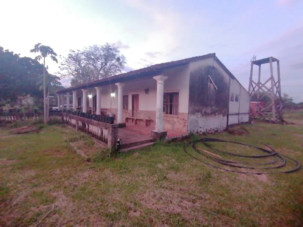 AREGUA, LUQUE: GRANJA FORMADA, 7 HAS IDEAL PPOLLERÍA Y CRIANZA. — foto 2
