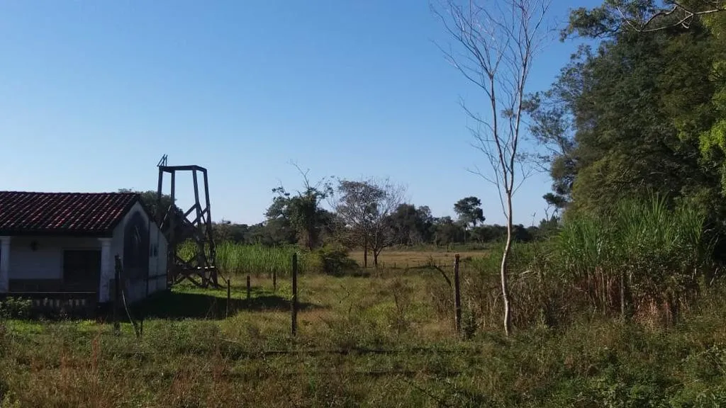 AREGUA, LUQUE: GRANJA FORMADA, 7 HAS IDEAL PPOLLERÍA Y CRIANZA. — foto 3