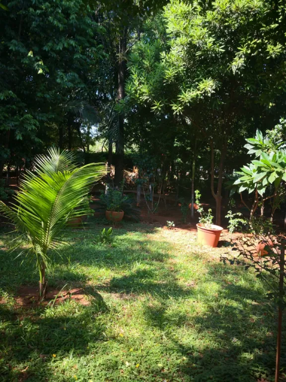 Vendo exclusivos terrenos en Capiatá Barrio Lérida zona centro — foto 3
