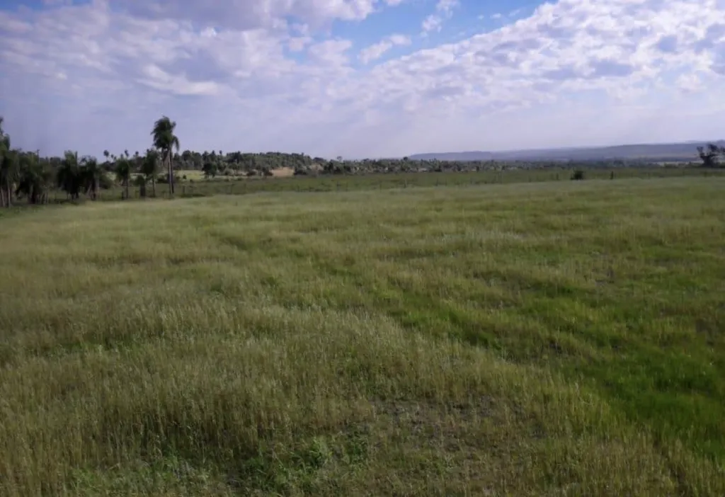 Campo Ganadero en Quiindy - 2050 Has — foto 3