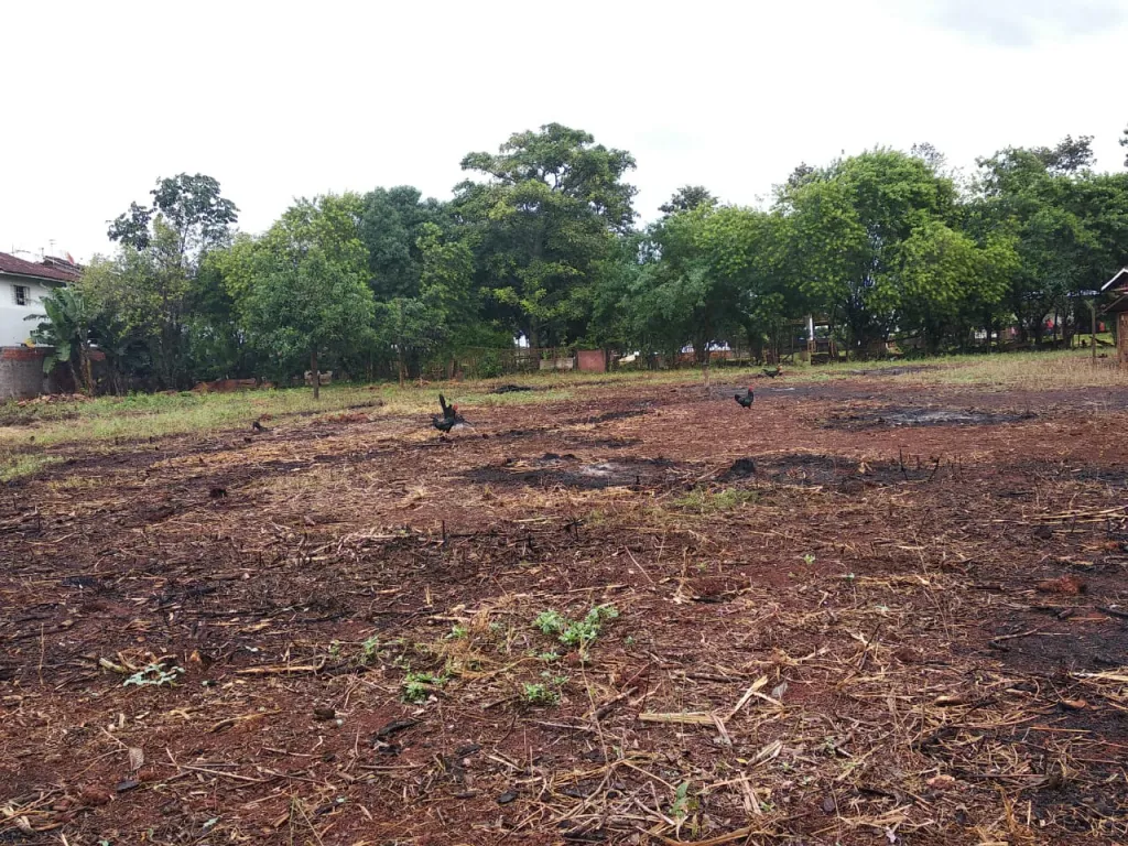Terreno Chácara com 5000 m2 — foto 2