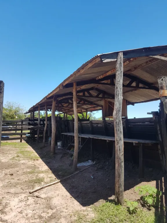 YUTY, CAAZAPA: 200 HAS, ESTABLECIMIENTO EN FUNCIONAMIENTO, CAMPO + MONTES + PLANTACIONES. — foto 3