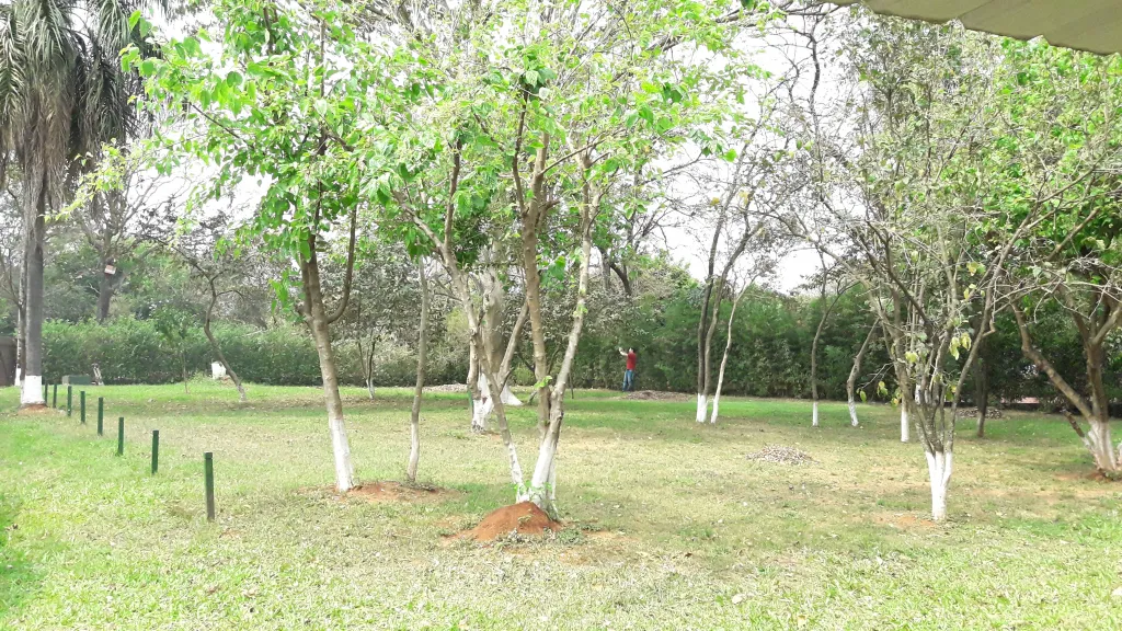 Vendo terreno con chalet en Luque - Zona CIE — foto 2