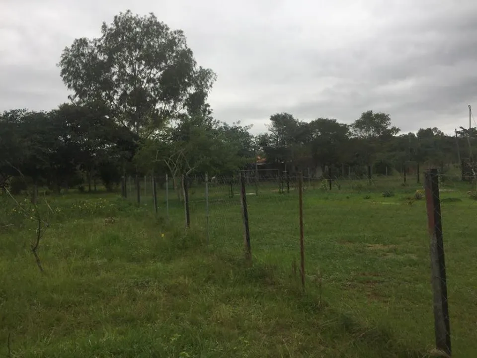 VENDO DOS TERRENOS EN LUQUE ZONA TARUMANDY CAMINO A SAN BERNARDINO COD 2422 — foto 2