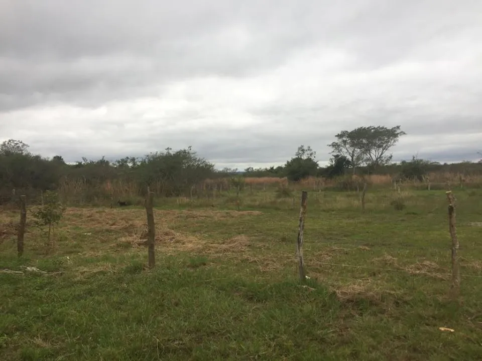 VENDO DOS TERRENOS EN LUQUE ZONA TARUMANDY CAMINO A SAN BERNARDINO COD 2422 — foto 3