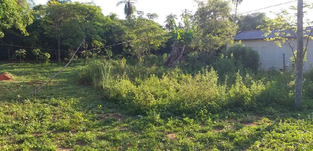 Vendo este terreno para inversion — foto 2