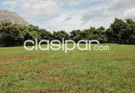 Compro Terreno URGENTE — foto 2