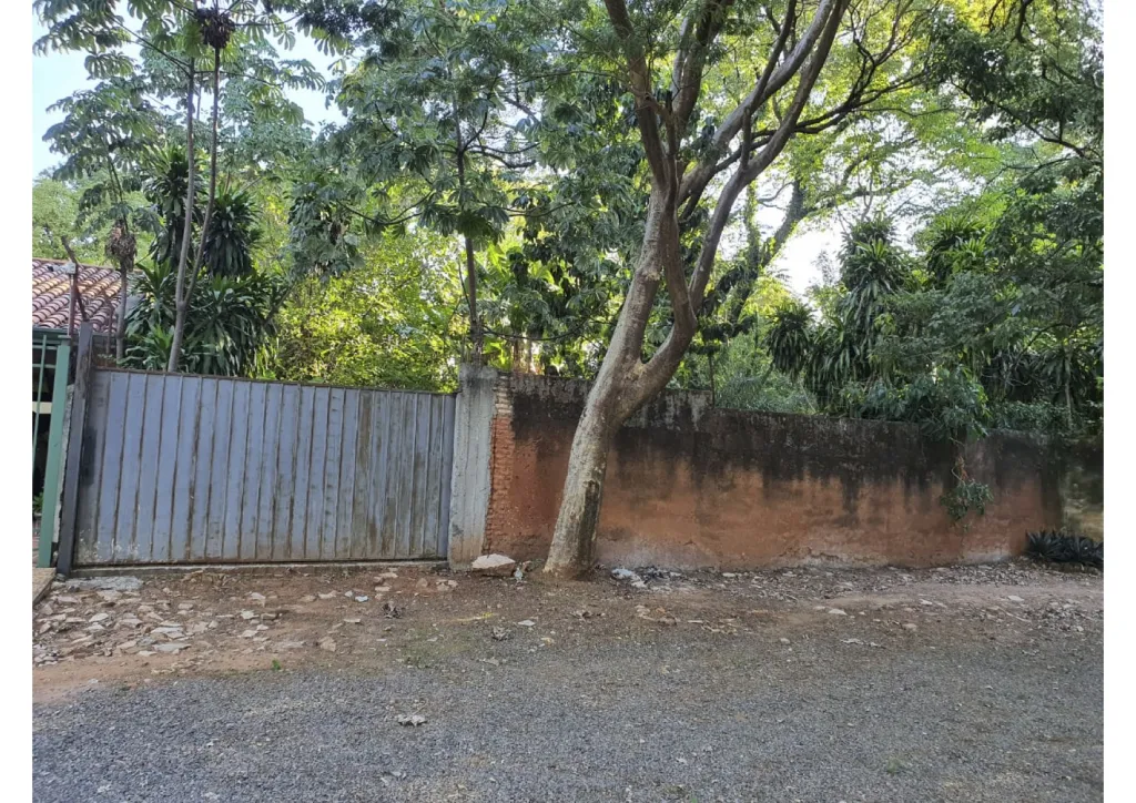 VENDO HERMOSO TERRENO BARRIO EL MANGAL — foto 2
