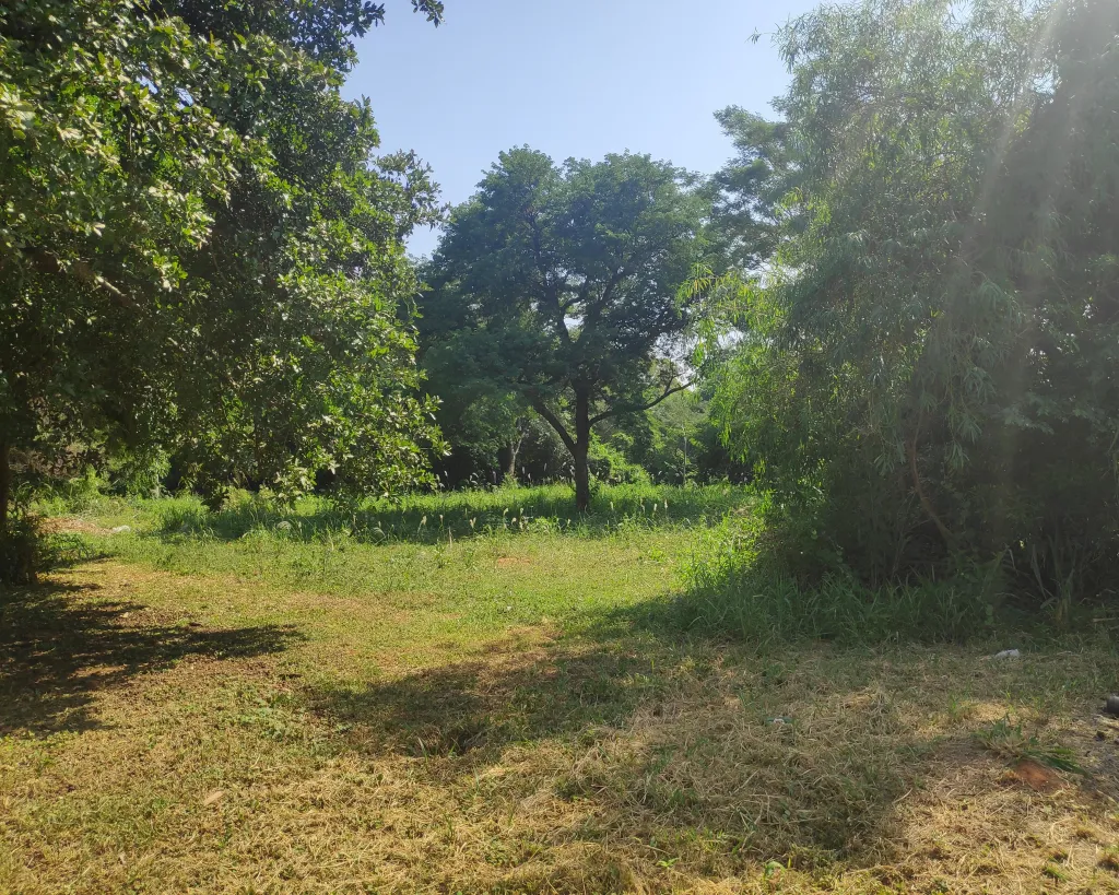 VENDO TERRENO EN MARIANO R. ALONSO - BARRIO UNIVERSO — foto 3