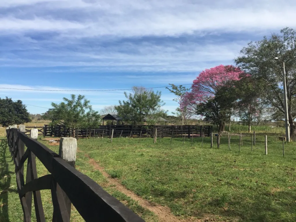VENDO ESTABLECIMIENTO GANADERO DE 200 HTAS. - ZONA SAN ESTANISLAO. — foto 2