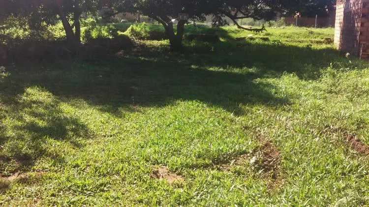 VENDO TERRENO en una zona privilegiada — foto 2
