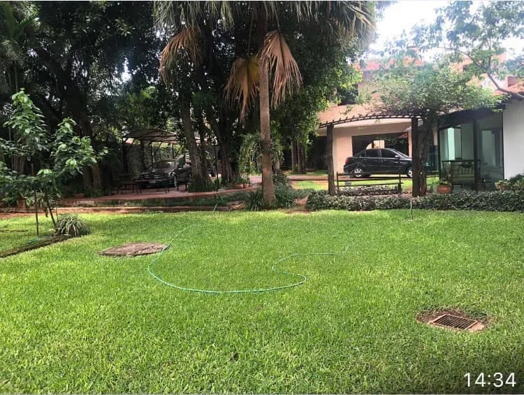 Anuncio 1586999 — foto 2
