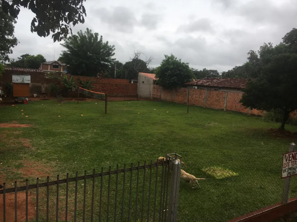OFERTA 2 HERMOSOS TERRENOS A METROS DE LA RUTA LUQUE-AREGUA — foto 2
