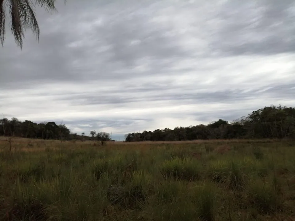 VENDO PROPIEDAD DE 142 HECTÁREAS EN SAN JOSE DE LOS ARROYOS COD 2456 — foto 3