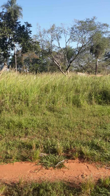 Terreno en Itaugua km 25 — foto 2