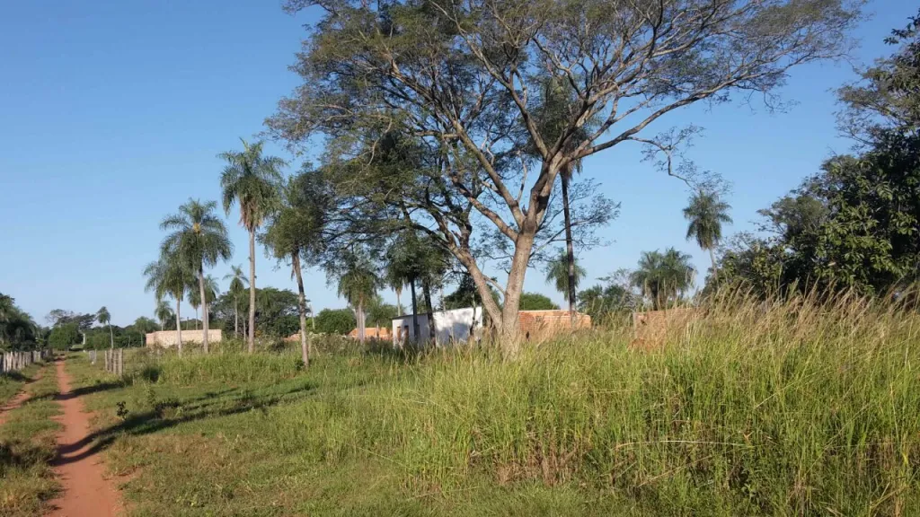 Terreno en Itaugua km 25 — foto 3