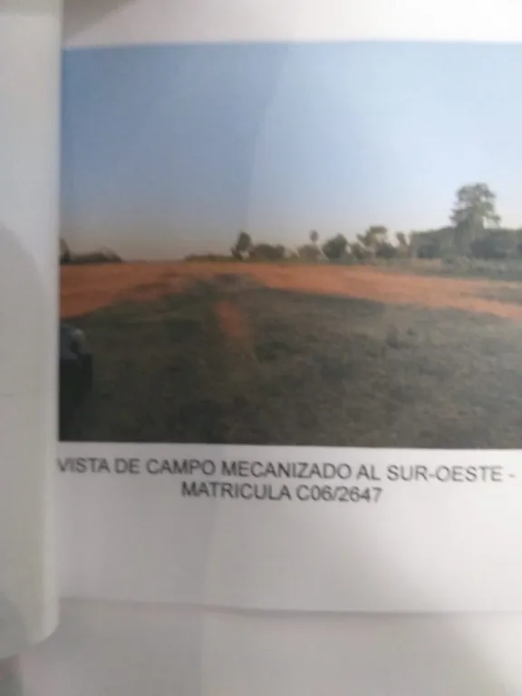 VENDO PROPIEDAD DE 10 HECTAREAS MECANIZADO EN LIMA SAN PEDRO — foto 2