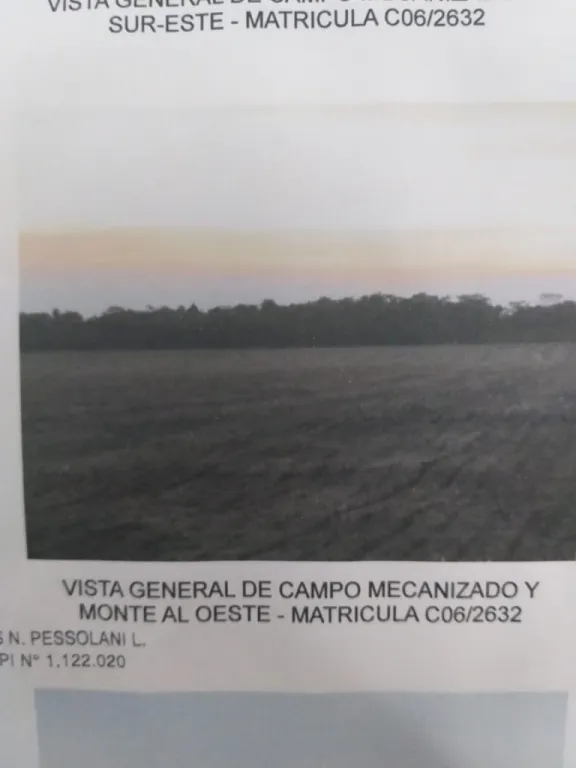 VENDO PROPIEDAD DE 10 HECTAREAS MECANIZADO EN LIMA SAN PEDRO — foto 3