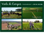 Venta de Campos Propiedades Rurales Granjas Estancias Campos Mecanizados Campos