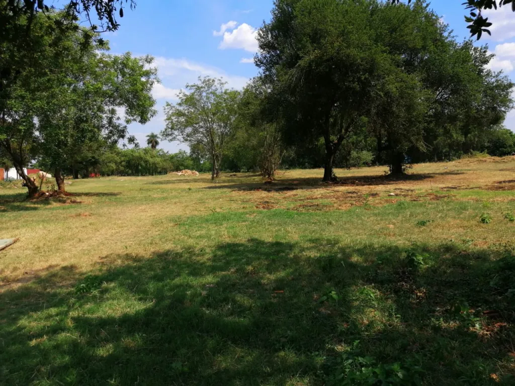 LUQUE – MARAMBURÉ: 37.500 M2 IDEALES P DESARROLLOS INMOBILIARIOS — foto 2