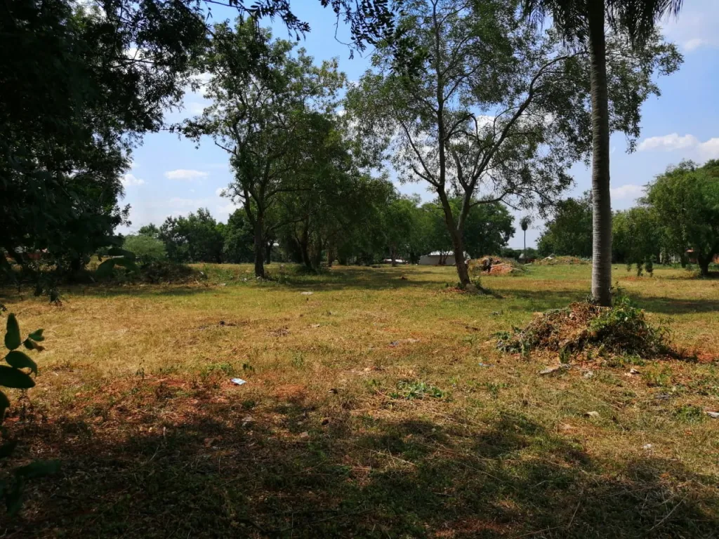 LUQUE – MARAMBURÉ: 37.500 M2 IDEALES P DESARROLLOS INMOBILIARIOS — foto 3