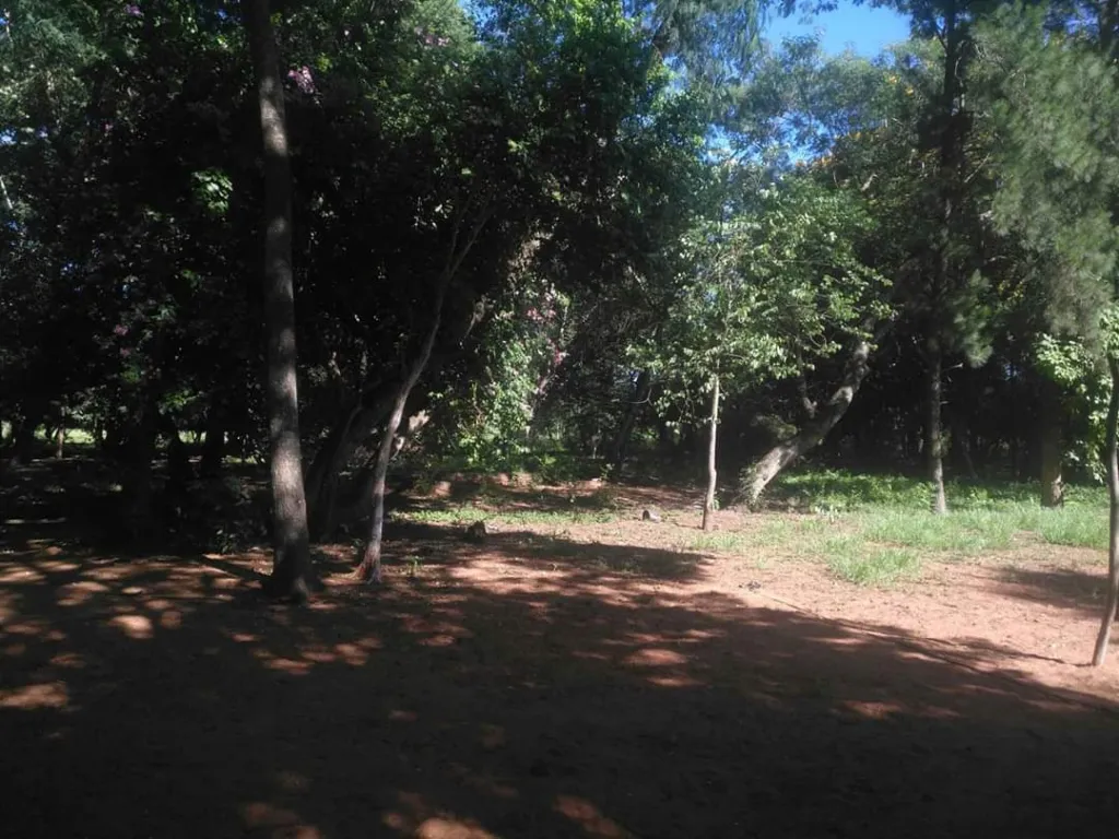 LUQUE MARAMBURÉ: 2 HAS S RUTA, IMPERDIBLE OPORTUNIDAD P DESARROLLOS INMOBILIARIOS — foto 2
