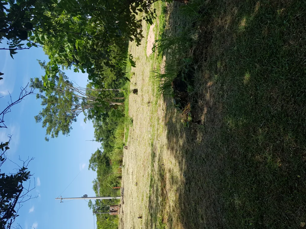 Hermoso Terreno — foto 2