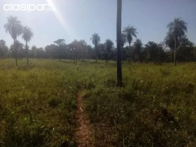 7 HECTAREAS EN HORQUETA — foto 2