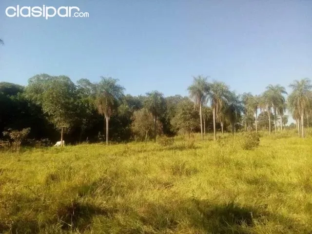 7 HECTAREAS EN HORQUETA — foto 3