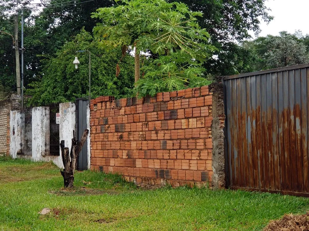 Vendo terreno con casita — foto 3