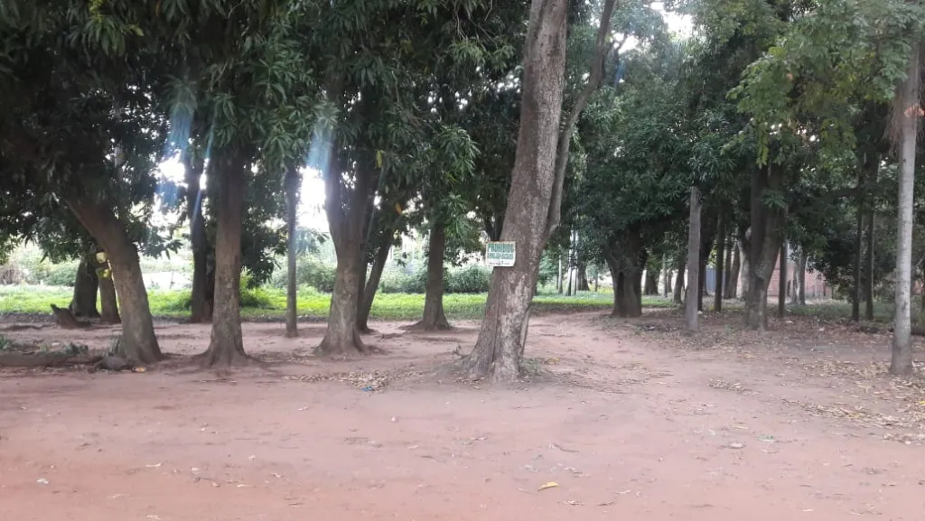 RUTA YPACARAÍ – AREGUA: 11.065M2, IDEAL P EMPRENDIMIENTOS INMOBILIARIOS, INDUSTRIALES. — foto 3