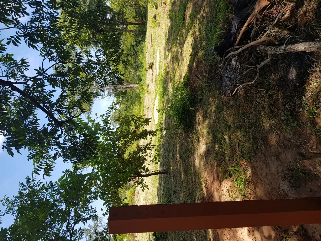 Hermoso Terreno — foto 2