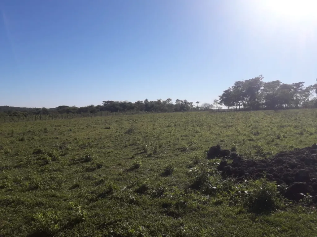 Vendo173 hectareas paraguari escobar dueño unico — foto 2