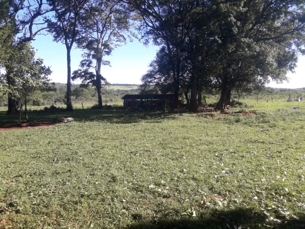 Vendo173 hectareas paraguari escobar dueño unico — foto 3