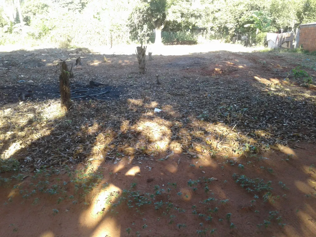 CAPIATA POSTA YBY KUA — foto 2