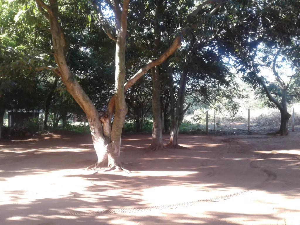 CAPIATA POSTA YBY KUA — foto 3