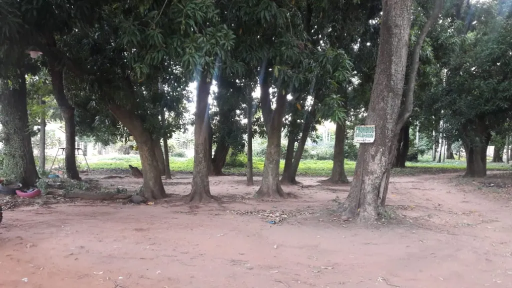 YPACARAÍ – AREGUA: 11.000 M2 IDEALES P EMPRENDIMIENTOS INMOBILIARIOS, INDUSTRIALES. — foto 3