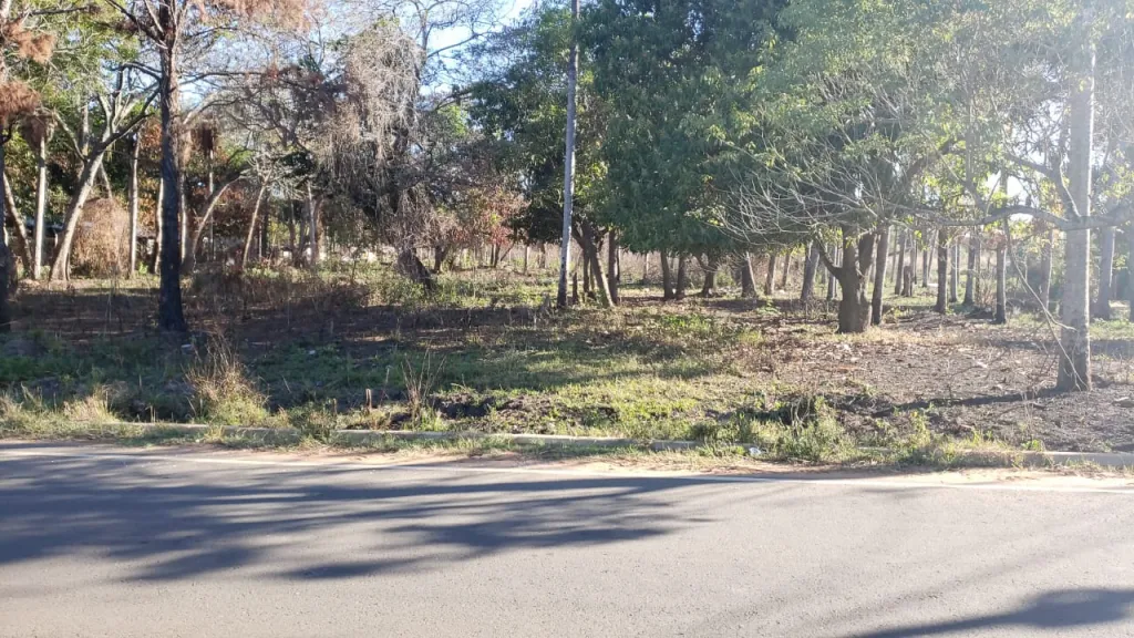 VENDO TERRENO EN LOMA MERLO LUQUE — foto 2